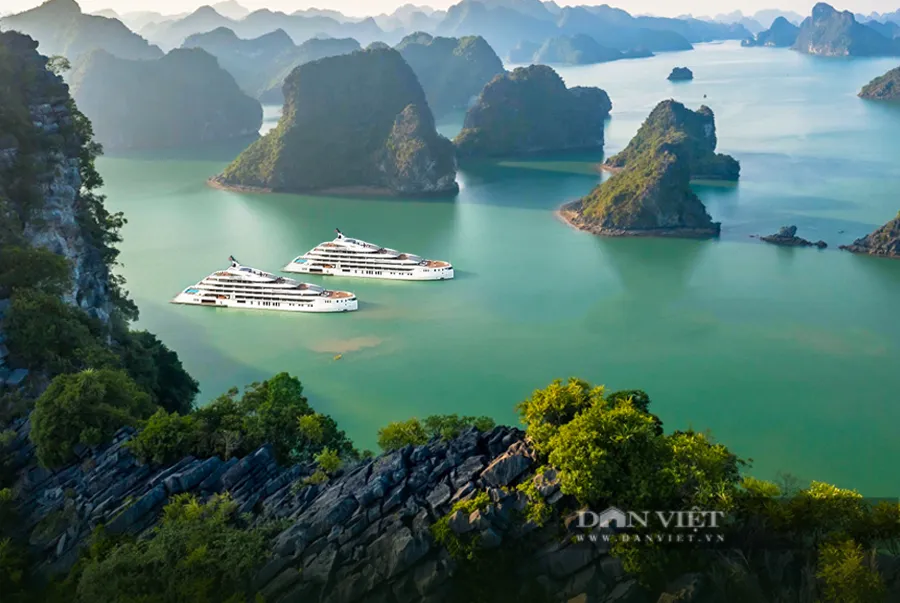 family-or-couple-ha-long-vs-da-nang-the-ideal-destination