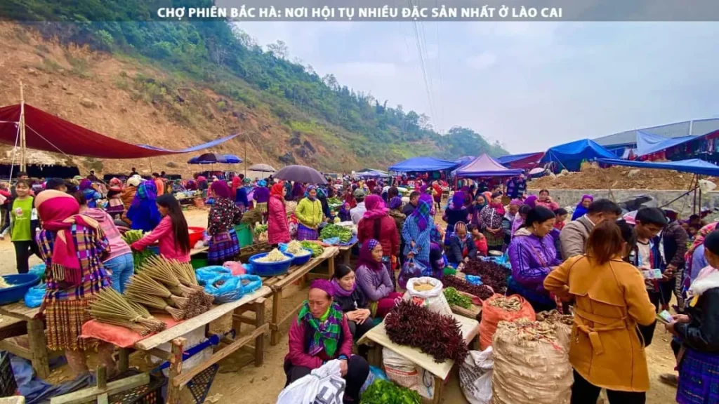 top-5-dac-san-cho-bac-ha-khien-ban-phai-tram-tro